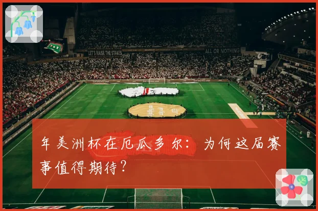 年美洲杯在厄瓜多尔：为何这届赛事值得期待？